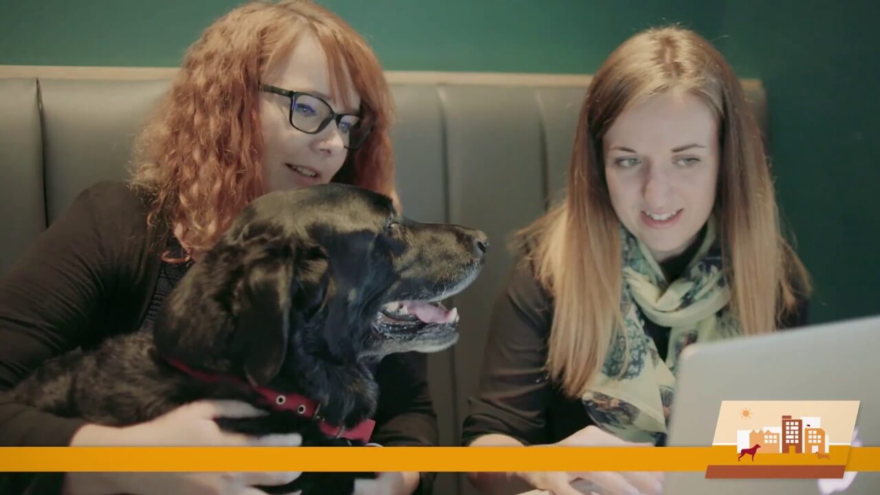 Pets at Work Case Study - Rapport, the People Activation Agency