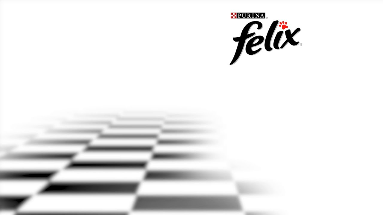 It's Great To Be A Cat