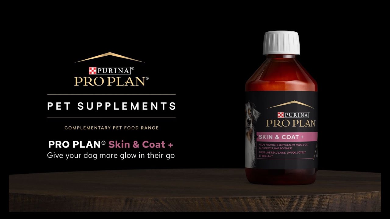 Pro Plan® Supplements for Dogs | Purina