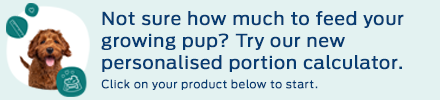 Not sure how much to feed your growing pup? Try our new personalised portion calculator